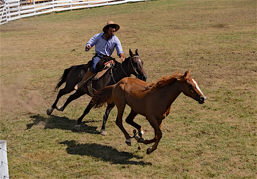 Fiesta de la Patria Gaucha, Tacuarembó